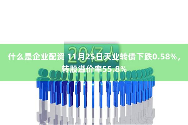 什么是企业配资 11月25日天业转债下跌0.58%，转股溢价率55.8%