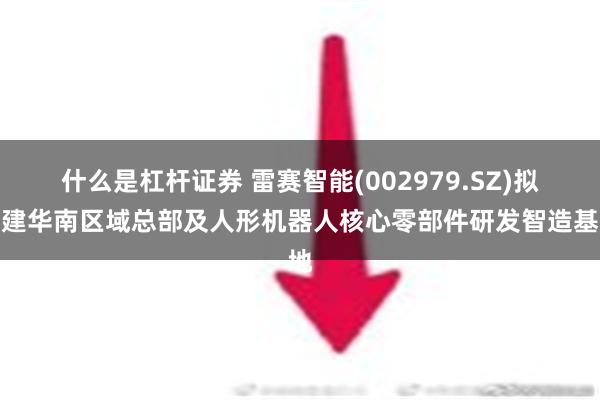 什么是杠杆证券 雷赛智能(002979.SZ)拟投建华南区域总部及人形机器人核心零部件研发智造基地