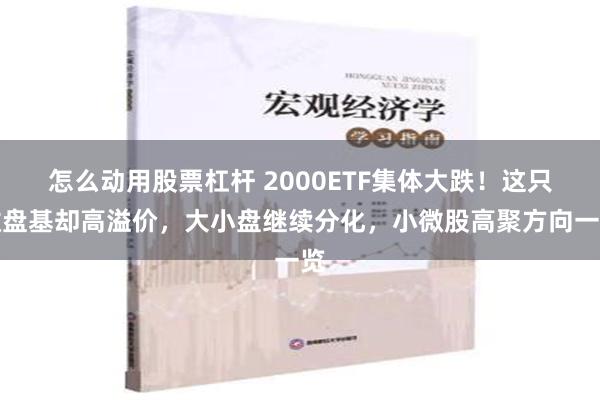 怎么动用股票杠杆 2000ETF集体大跌！这只微盘基却高溢价，大小盘继续分化，小微股高聚方向一览