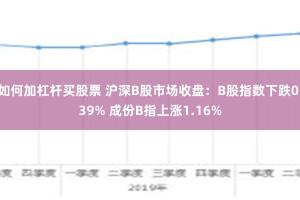 如何加杠杆买股票 沪深B股市场收盘：B股指数下跌0.39% 成份B指上涨1.16%